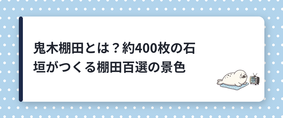 鬼木棚田とは？約400枚の石垣がつくる棚田百選の景色