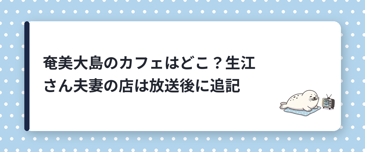 奄美大島のカフェはどこ？生江さん夫妻の店は放送後に追記