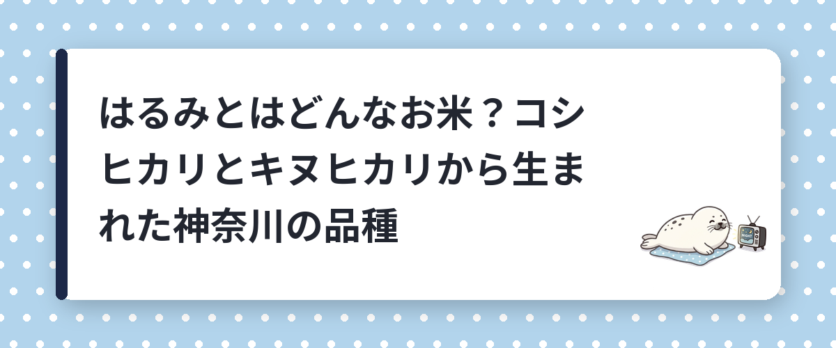 はるみとはどんなお米？コシヒカリとキヌヒカリから生まれた神奈川の品種