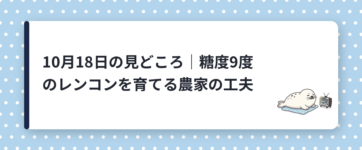 10月18日の見どころ|糖度9度のレンコンを育てる農家の工夫