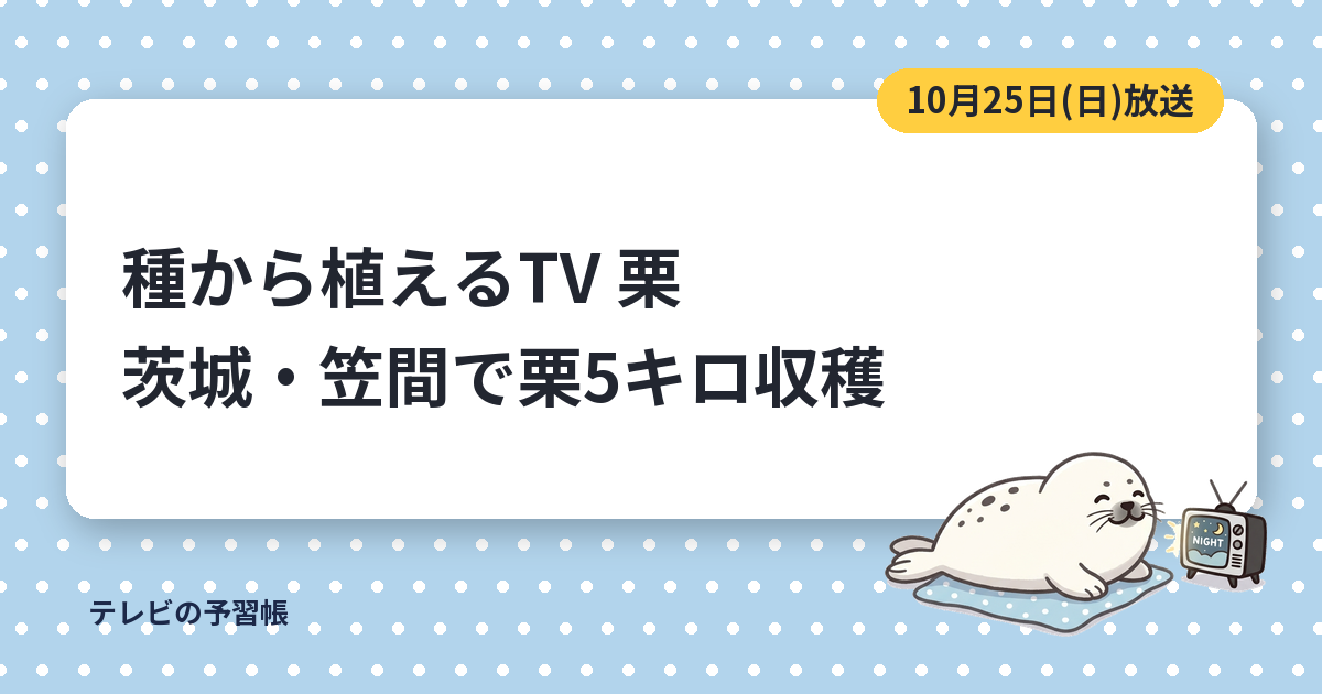 種から植えるTVの栗は茨城・笠間産｜10月25日の栗おこわと栗の天ぷら
