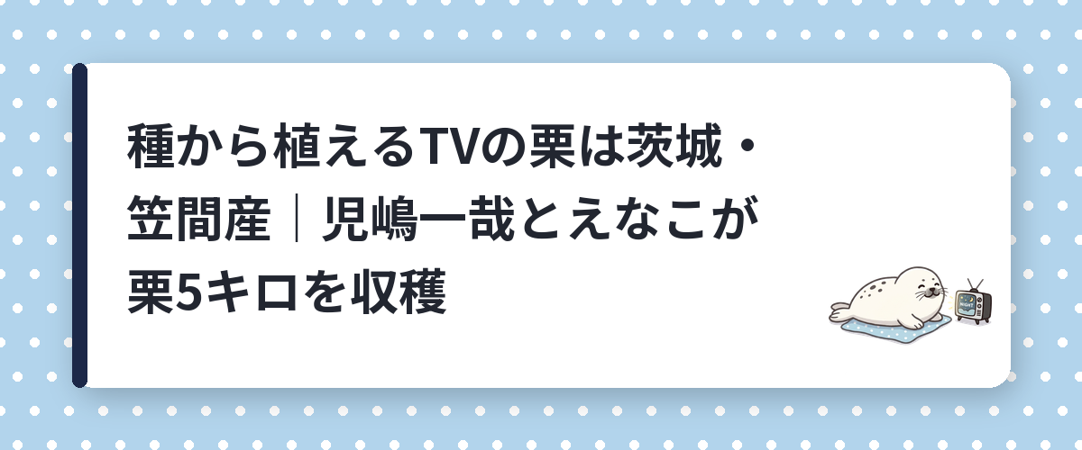 種から植えるTVの栗は茨城・笠間産|児嶋一哉とえなこが栗5キロを収穫