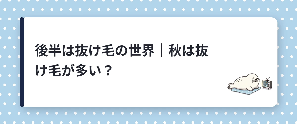 後半は抜け毛の世界|秋は抜け毛が多い?