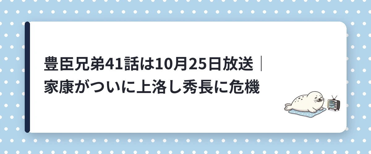 豊臣兄弟41話は10月25日放送｜家康がついに上洛し秀長に危機